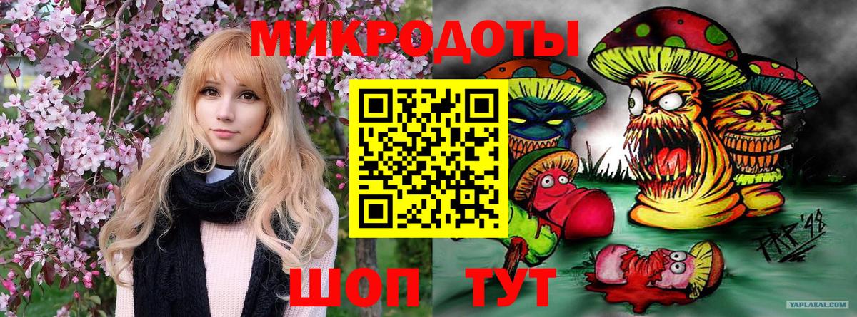 Галлюциногенные грибы Psilocybine cubensis Бугуруслан
