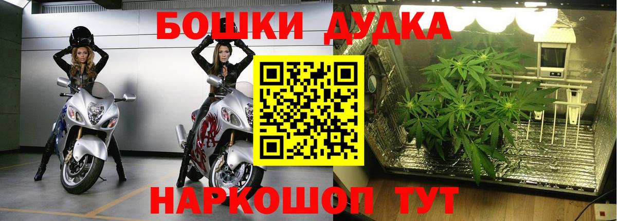 МАРИХУАНА Bruce Banner Бугуруслан