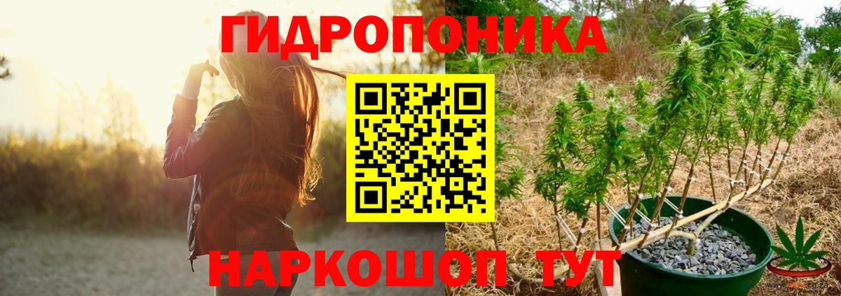 Шишки марихуана Ganja  Вход с VPN  Бошки марихуана сатива  Бошки марихуана OG Kush  Бугуруслан 
